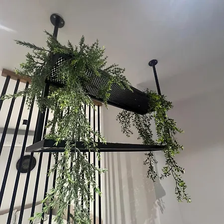 Apartmán Downtown Delight *